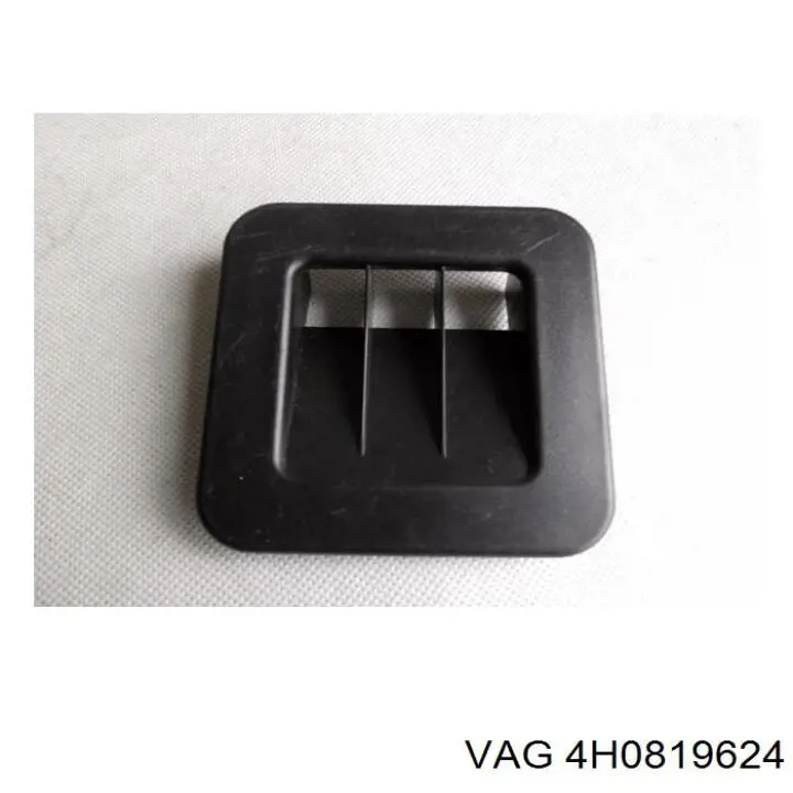 4H0819624 VAG 