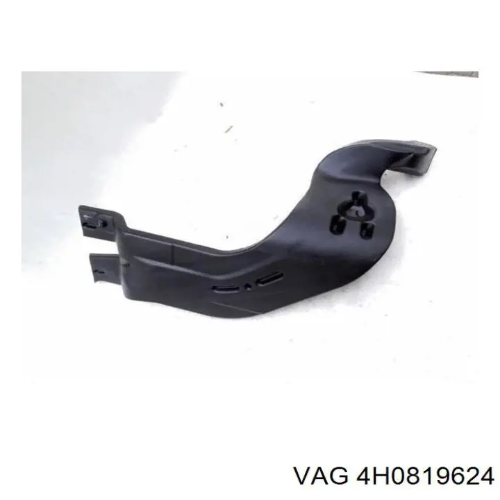  4H0819624 VAG