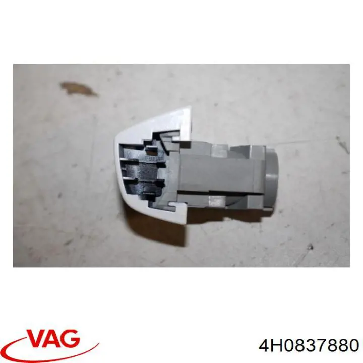  VAG 4H0837880