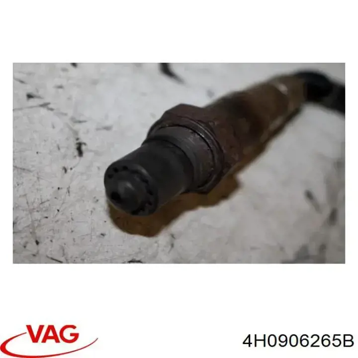  VAG 4H0906265B