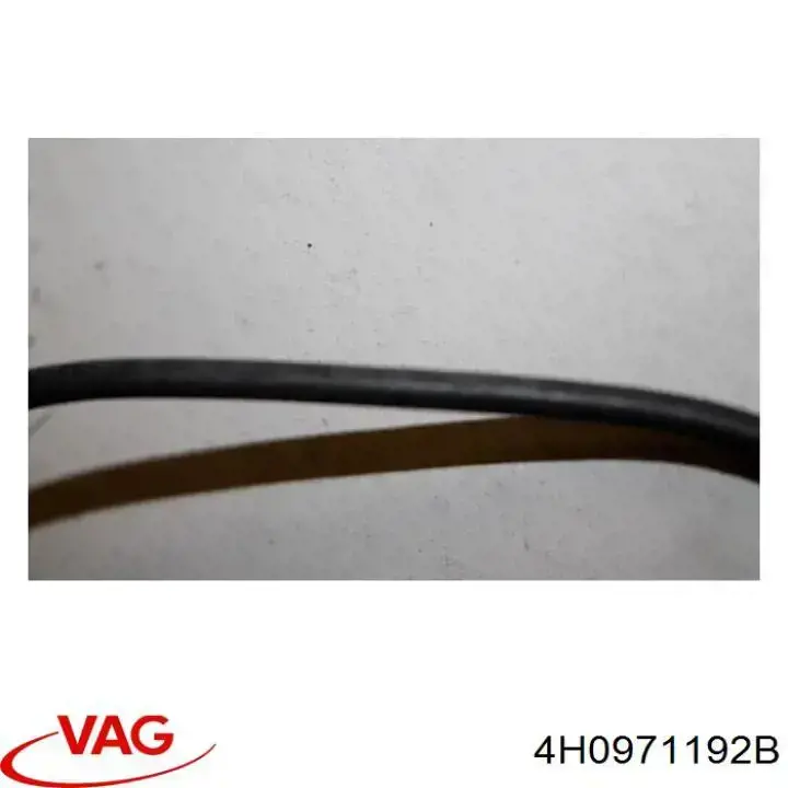  4H0971192B VAG