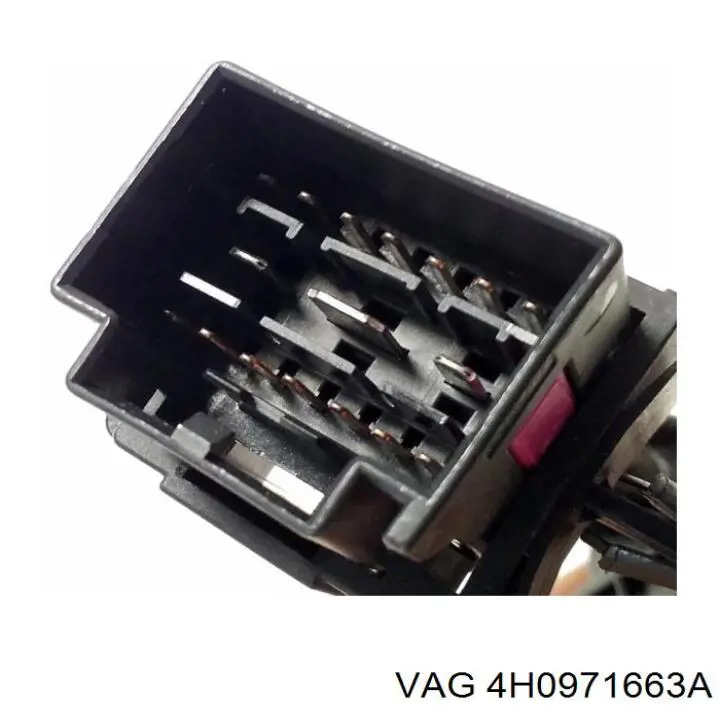  4H0971663A VAG