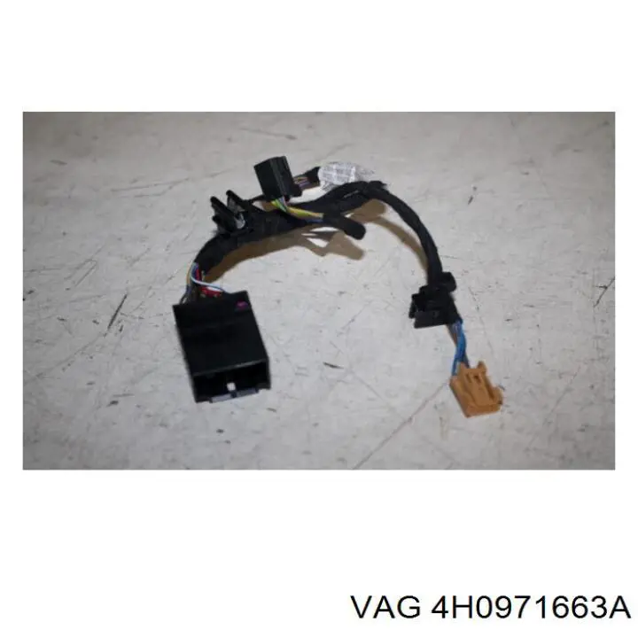 4H0971663A VAG 