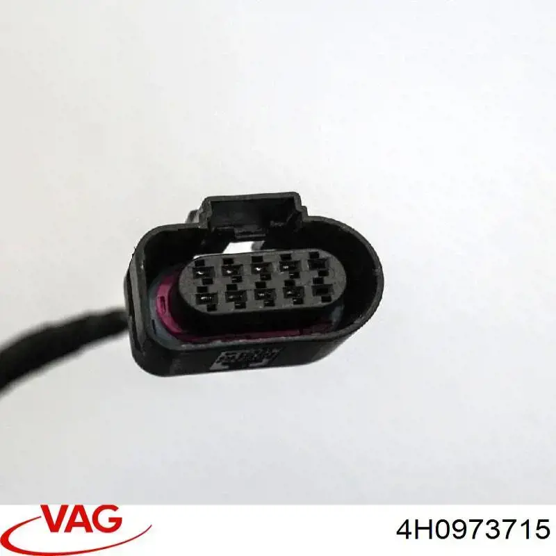  VAG 4H0973715