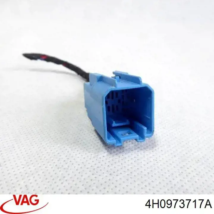 4H0973717A VAG 