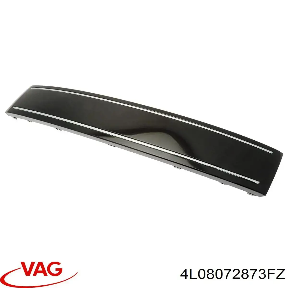 4L08072873FZ VAG 