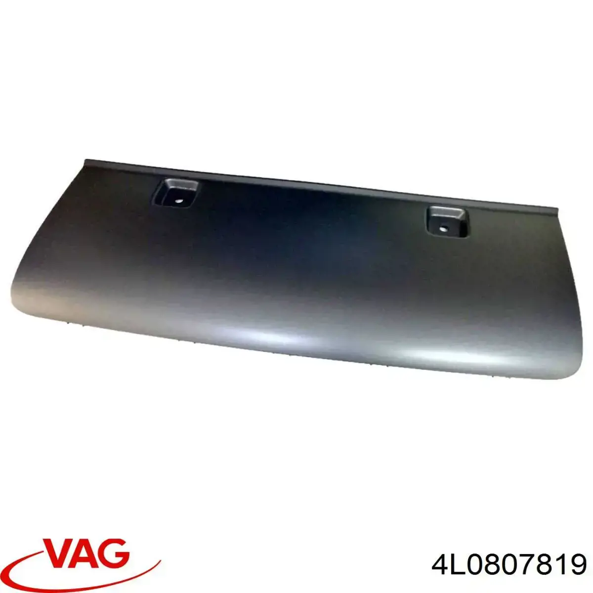 4L0807819B41 VAG 
