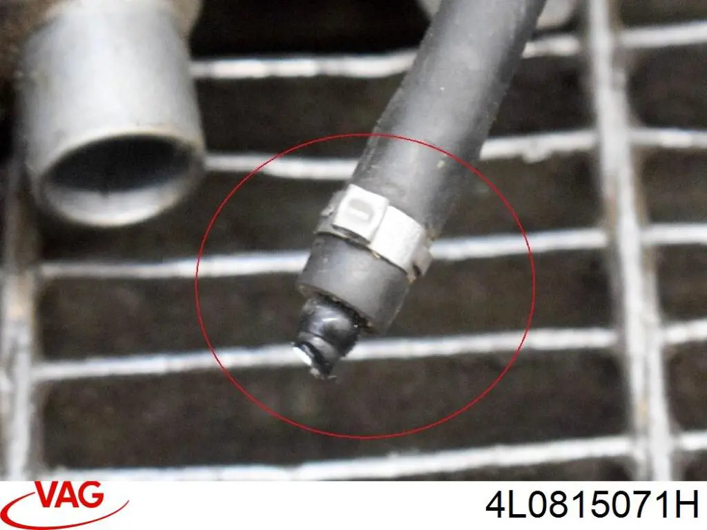 Купити 4L0815071J VAG Webasto