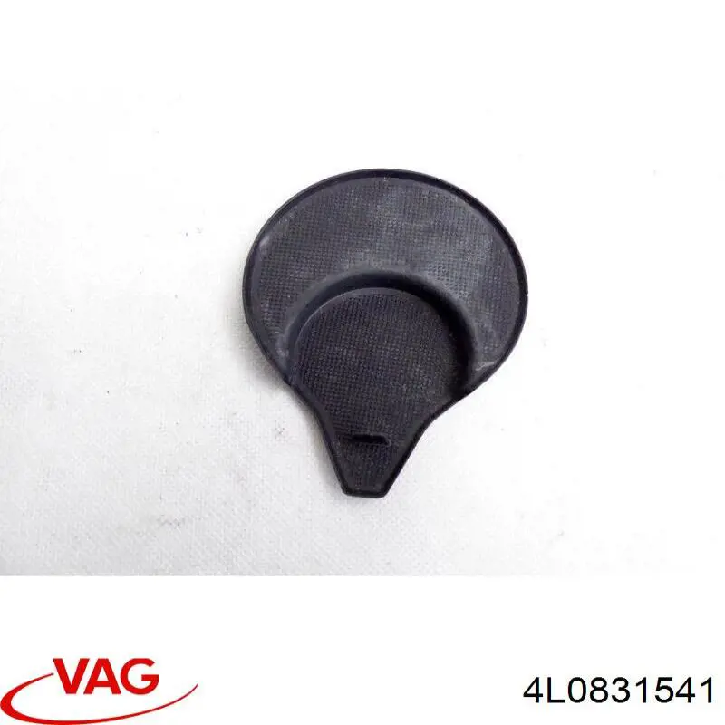  4L0831541 VAG