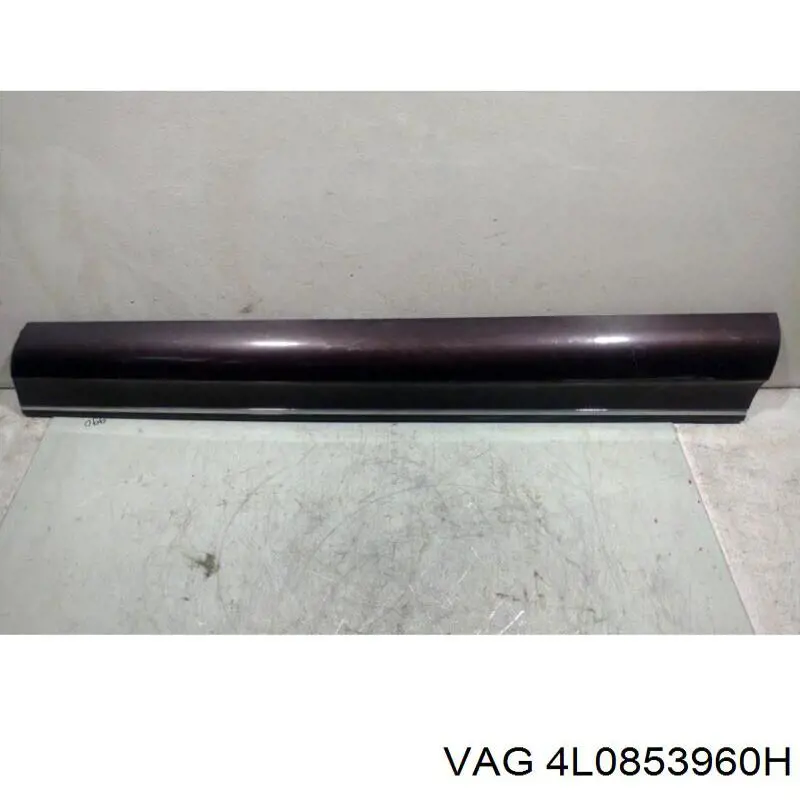  4L0853960H VAG