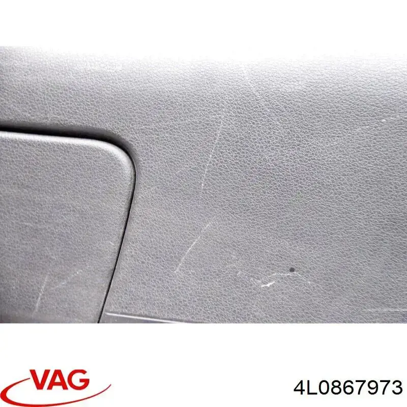  4L0867973 VAG