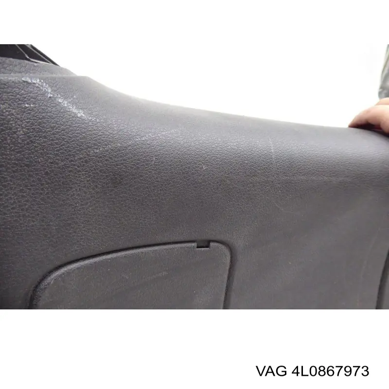 4L0867973 VAG 