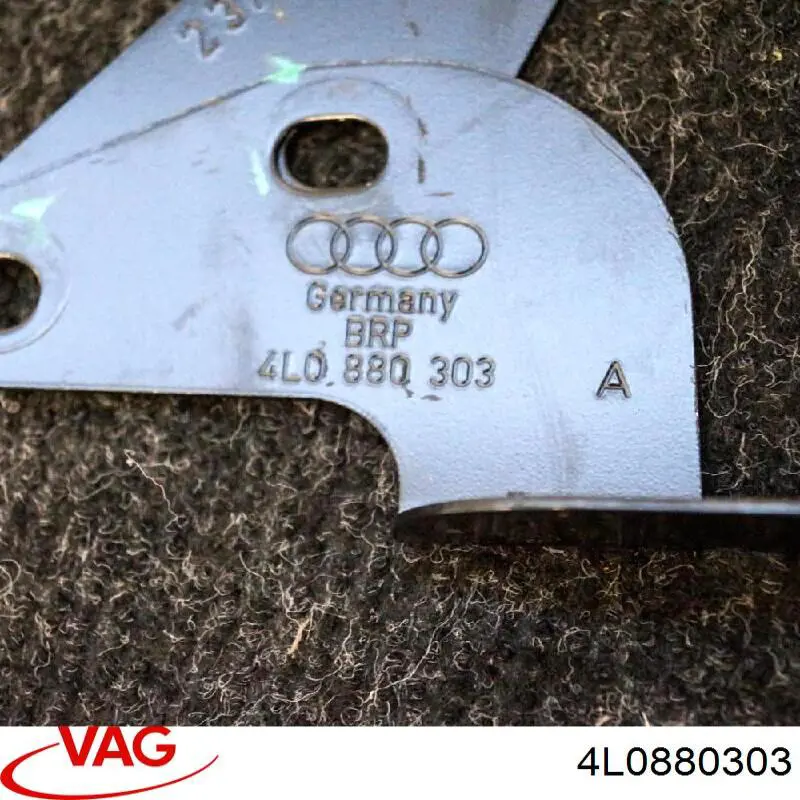  4L0880303 VAG