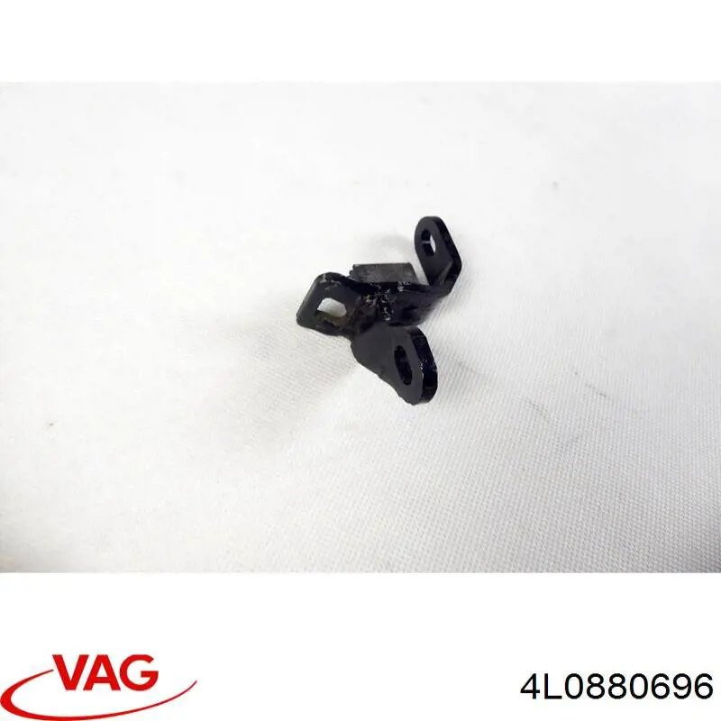  4L0880696 VAG