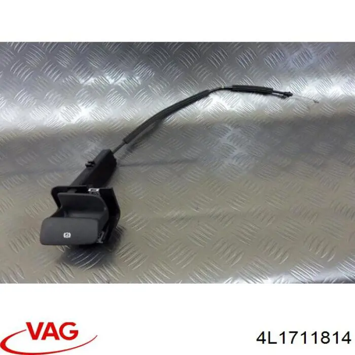 4L1711814 VAG 