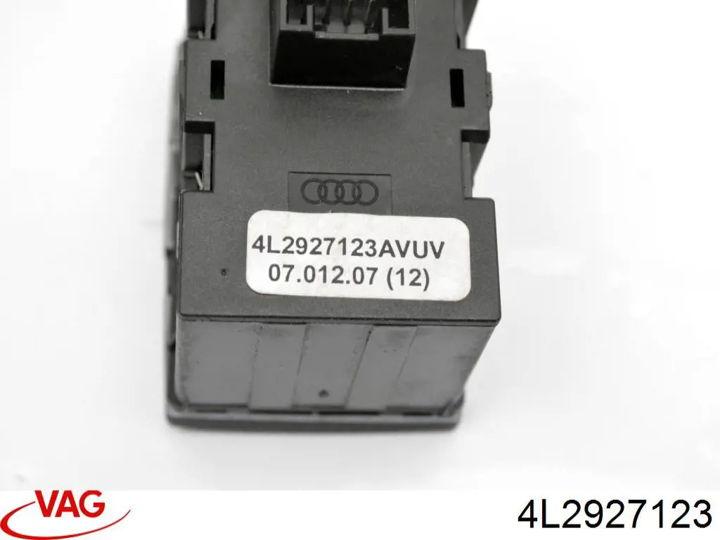 4L2927123 VAG 