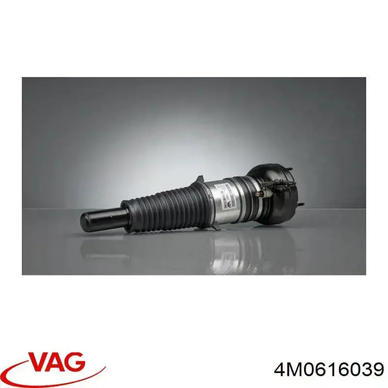  VAG 4M0616039 ціна, від 219.35 USD