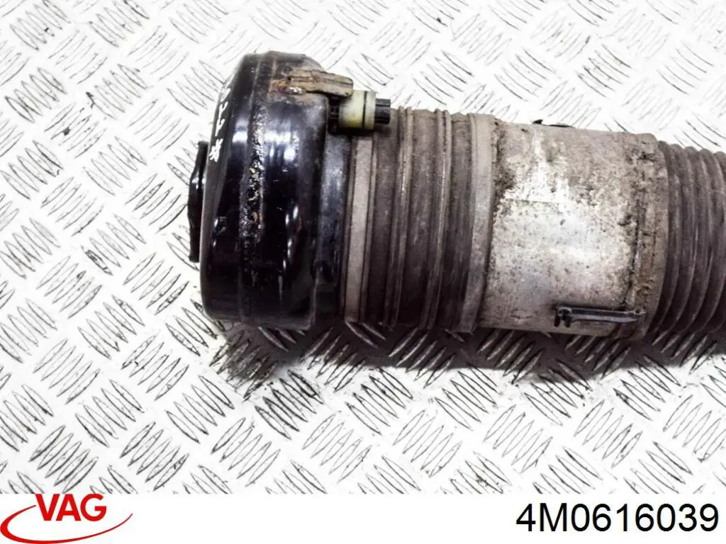 4M0616039 VAG 