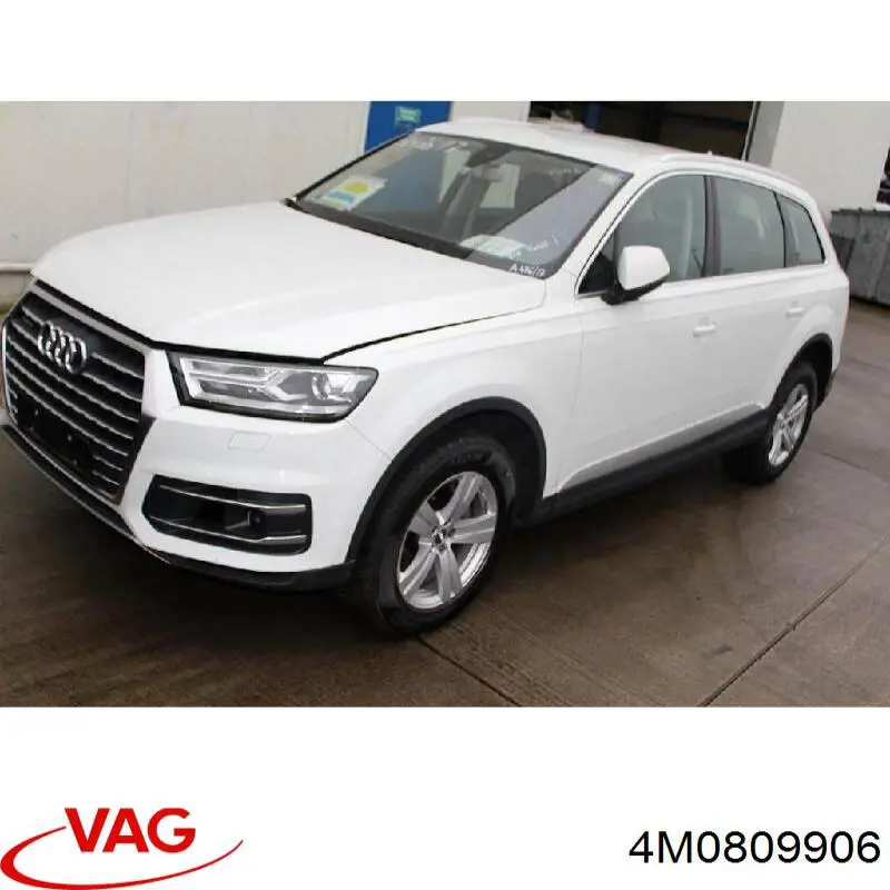  VAG 4M0809906