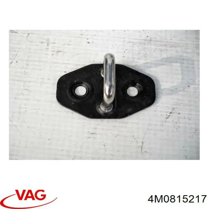  VAG 4M0815217