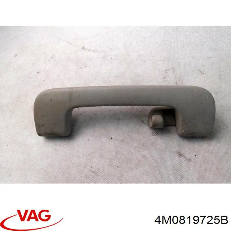  4M0819725B VAG