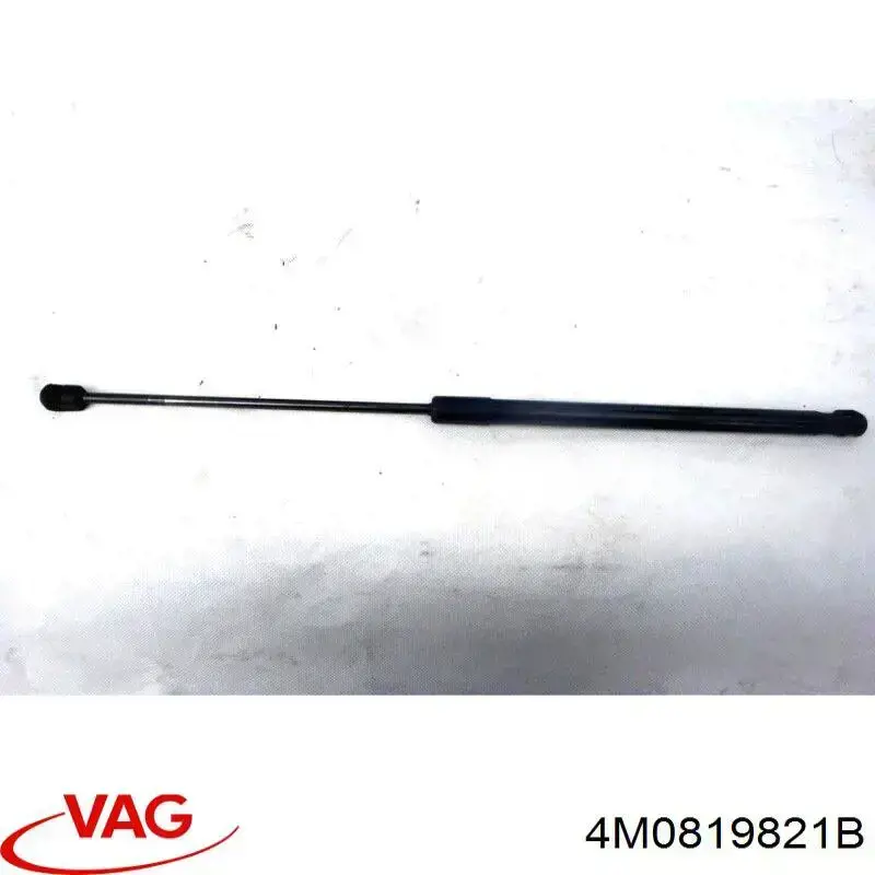 Купити 4M0819821B VAG 