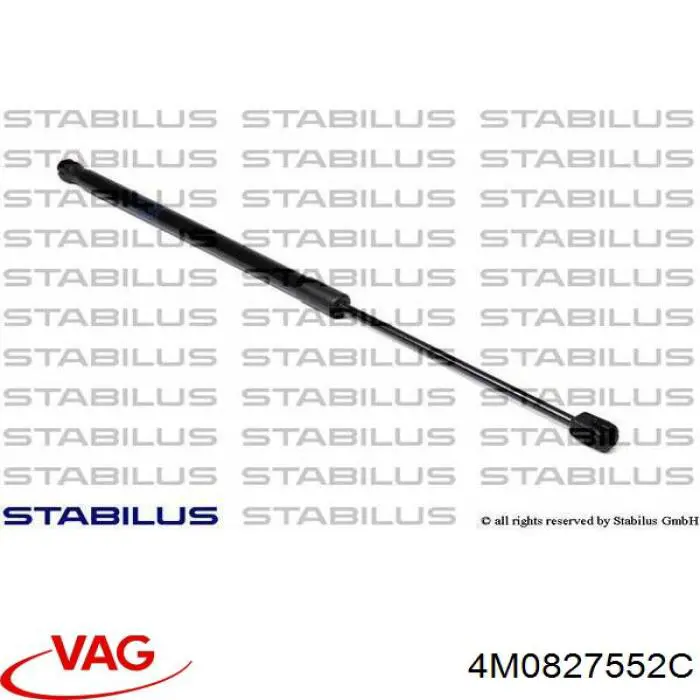 Амортизатор двері задньої VAG 4M0827552C ціна, від 14.65 USD