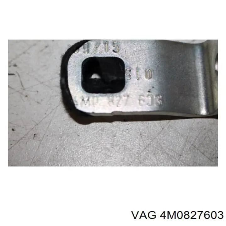 4M0827603 VAG 