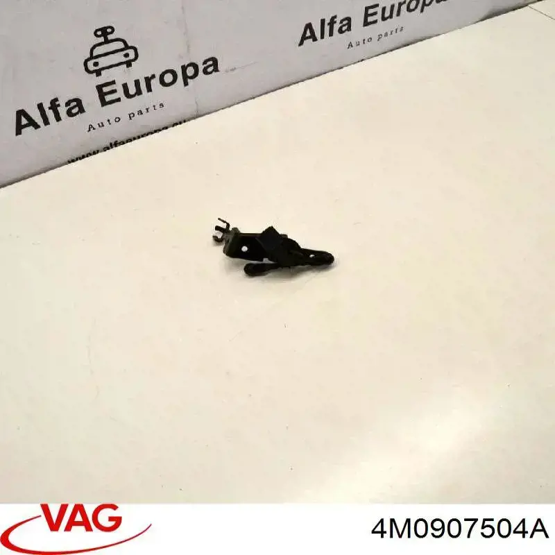  4M0907504A VAG