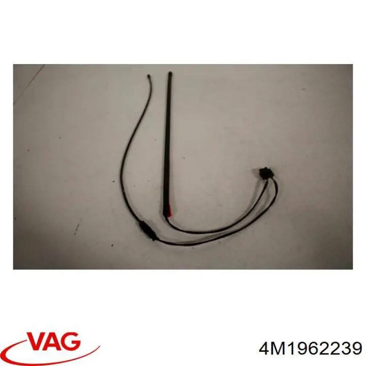 4M1962239 VAG 