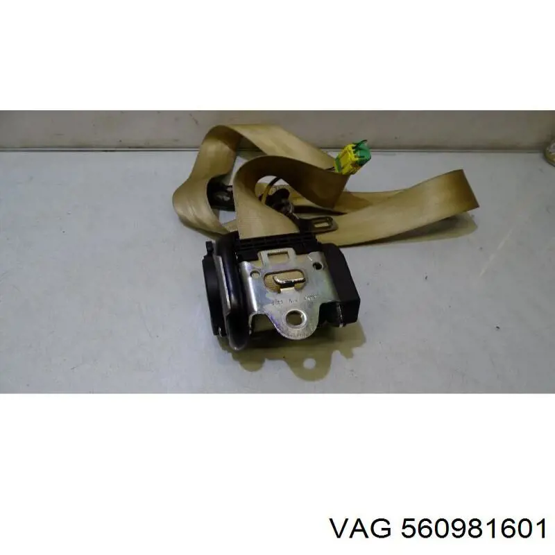 560981601 VAG 