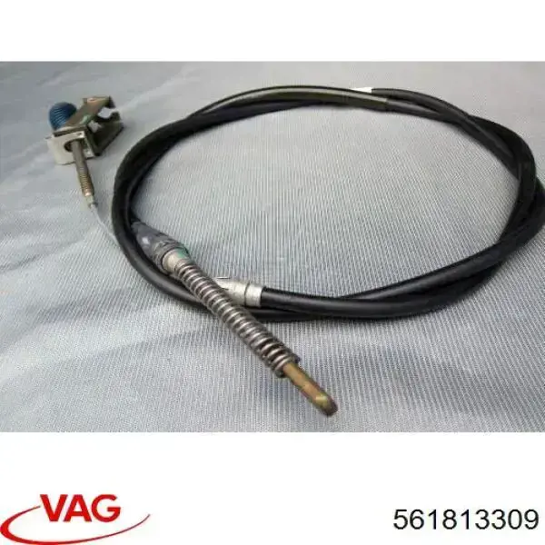 561813309 VAG 