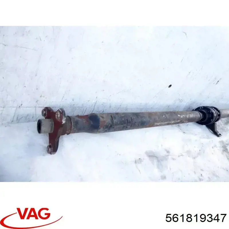  561819347 VAG