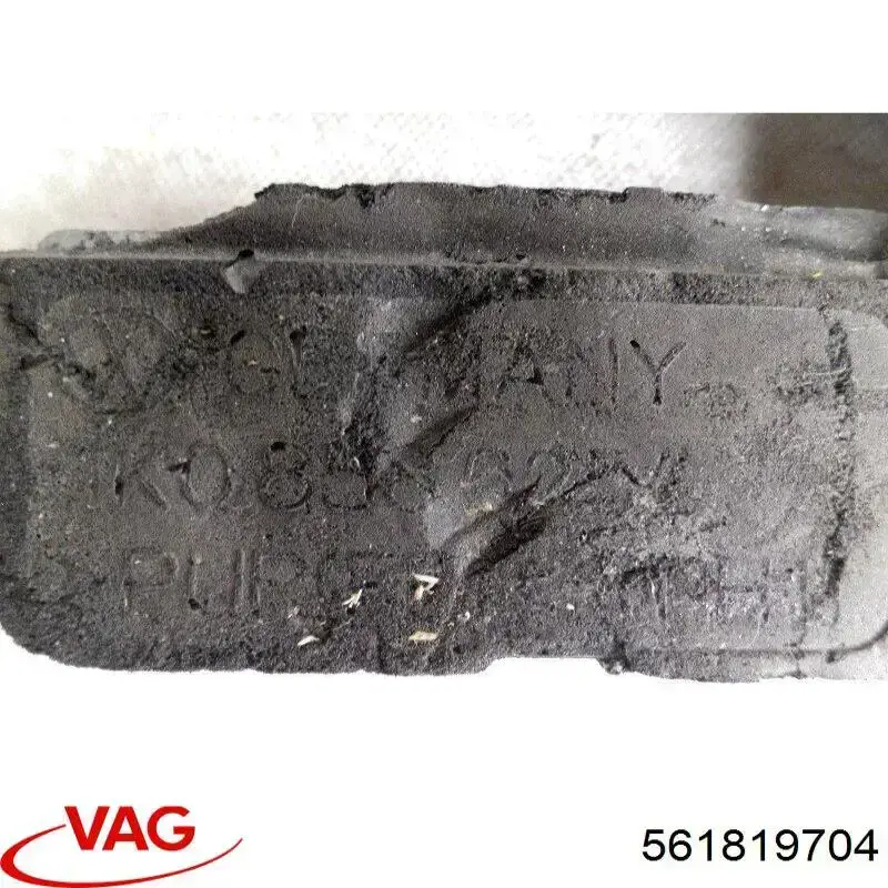 561819704 VAG 