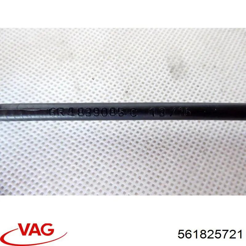 561825721 VAG 