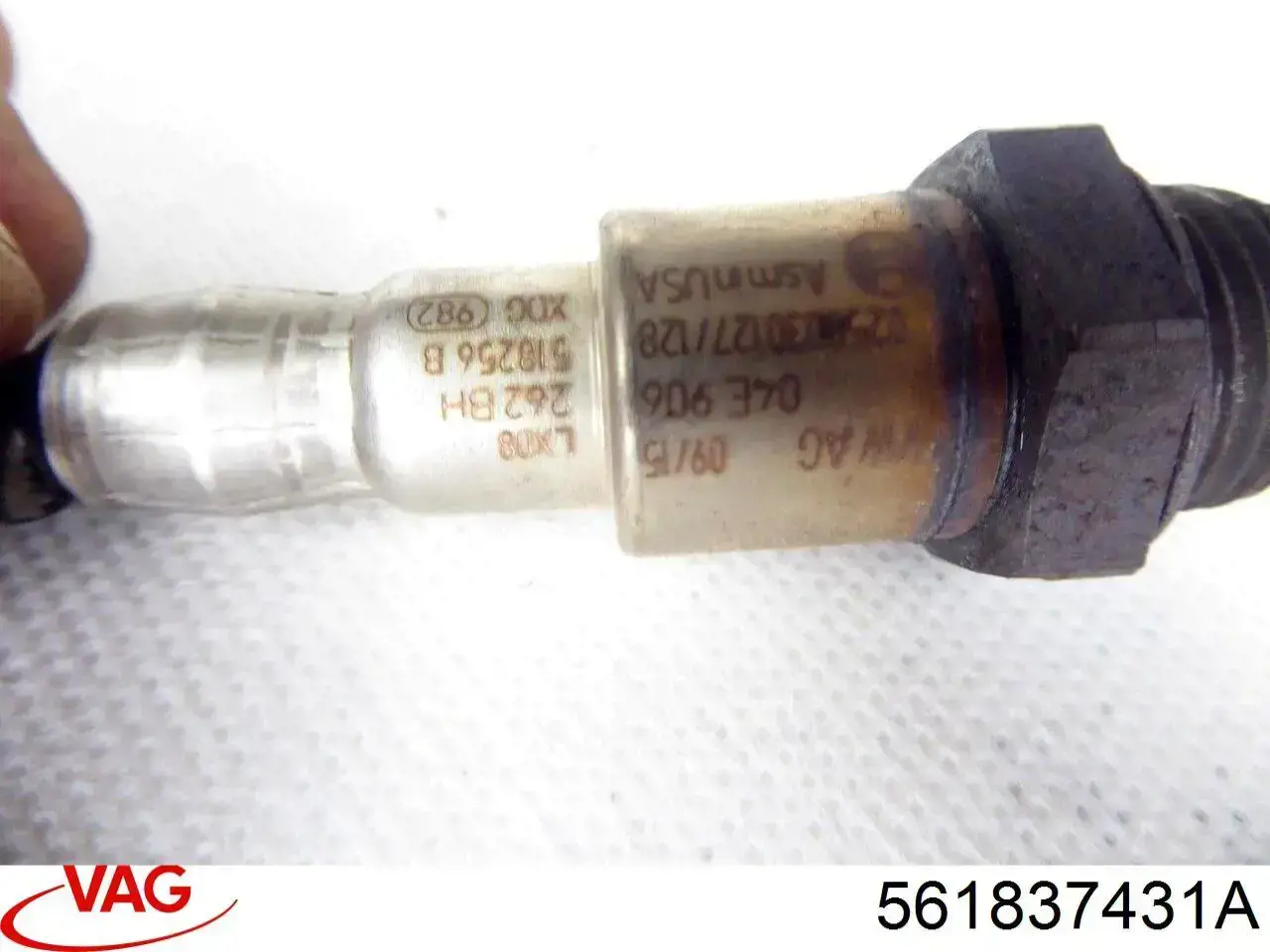  561837431A VAG