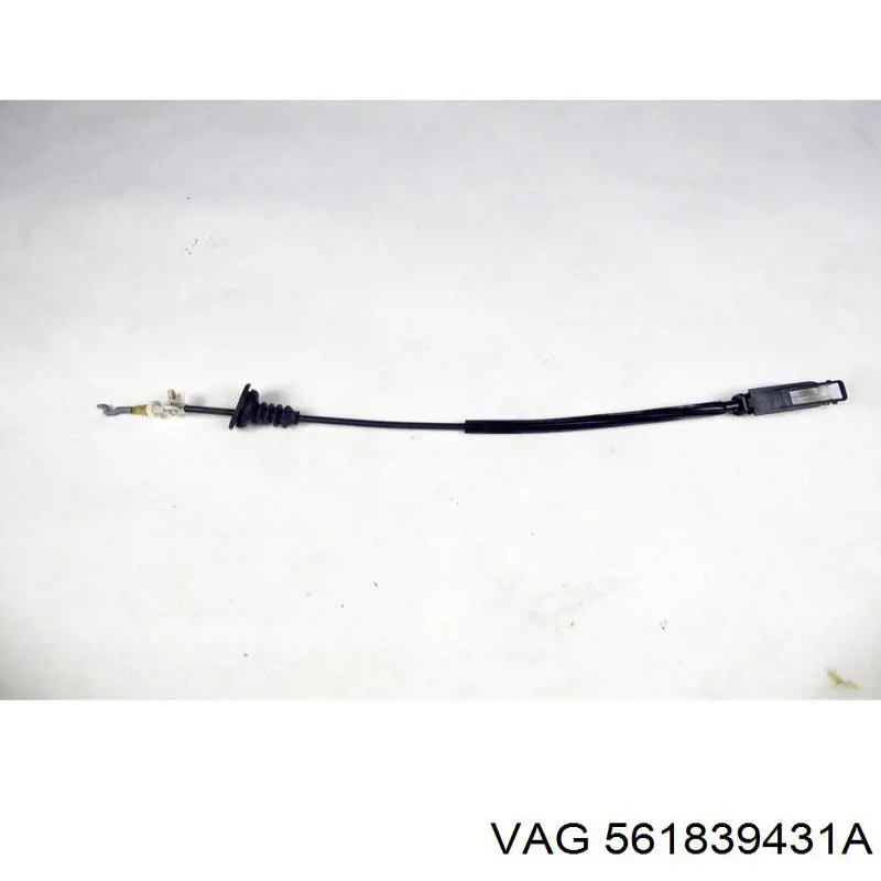 561839431A VAG 