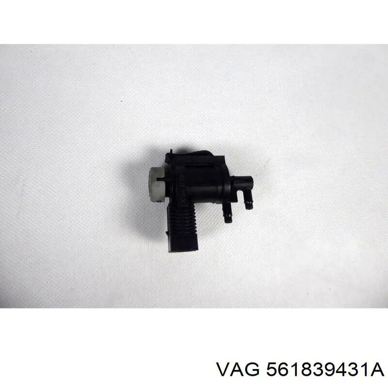  561839431A VAG