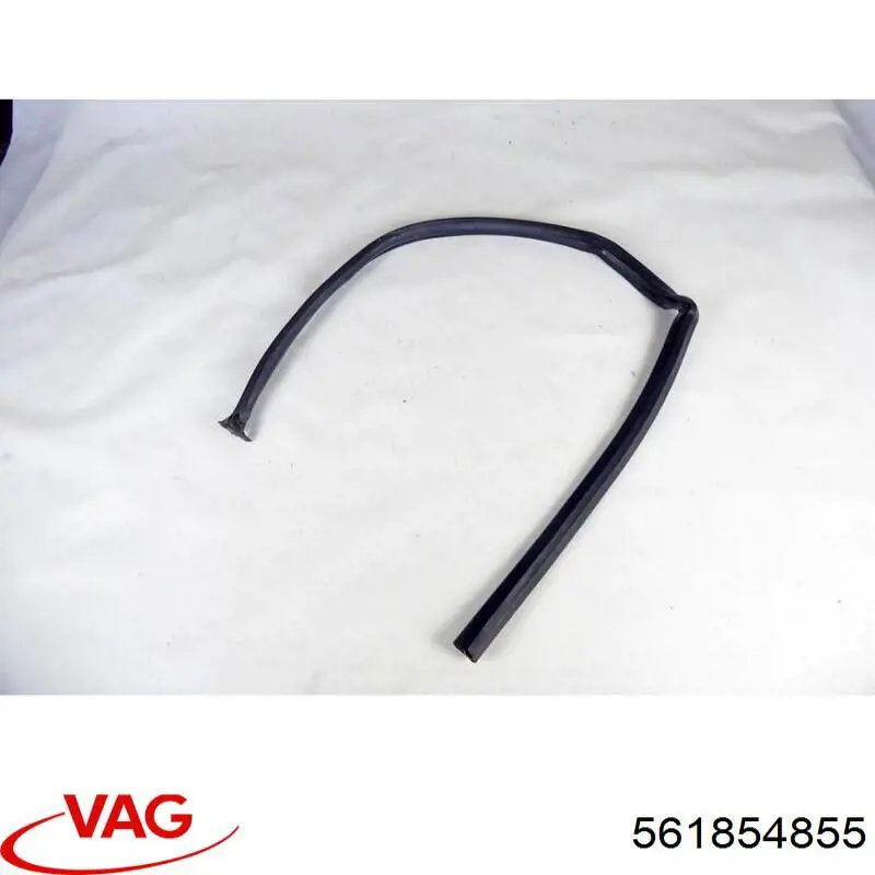  561854855 VAG
