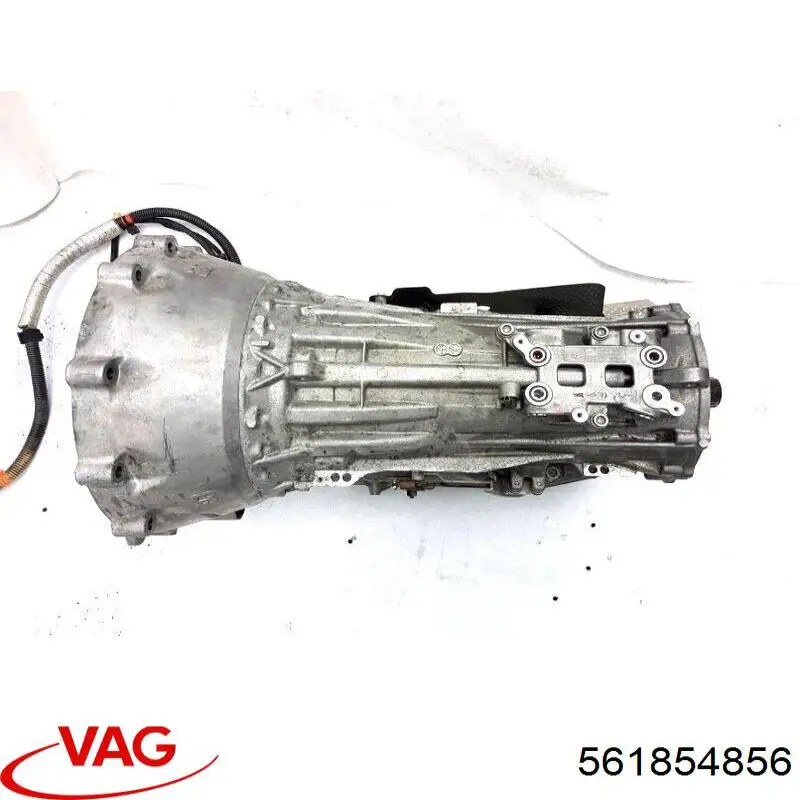  561854856 VAG