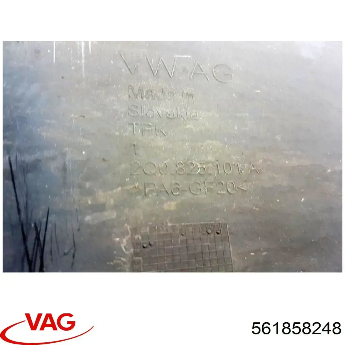 561858248 VAG 