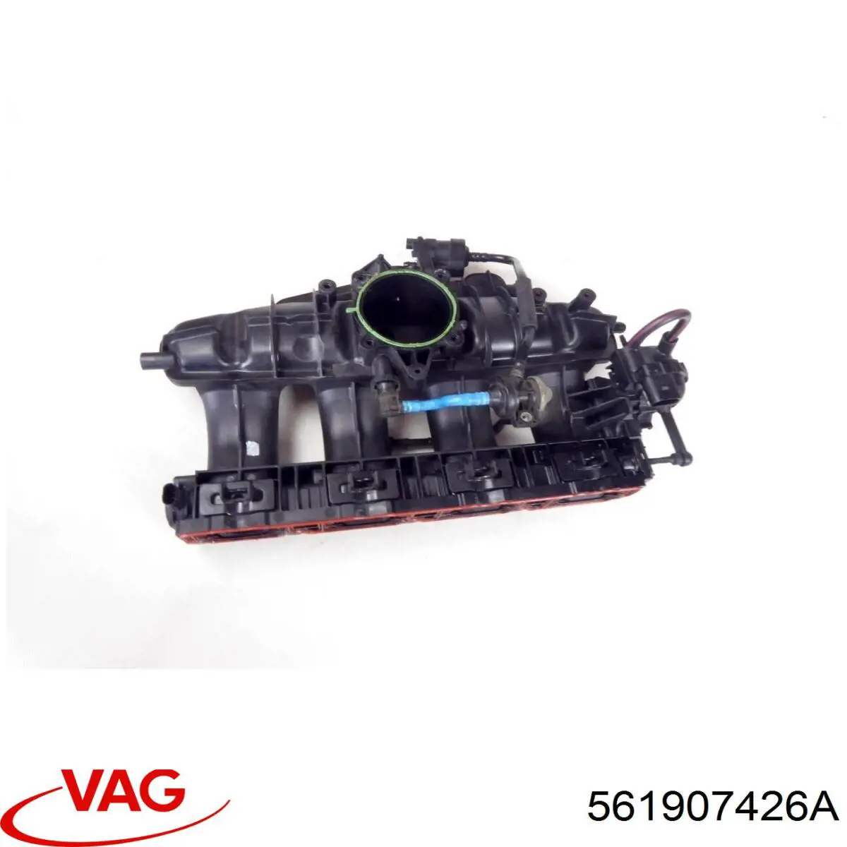  561907426A VAG