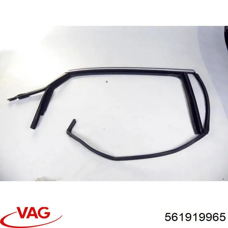  561919965 VAG