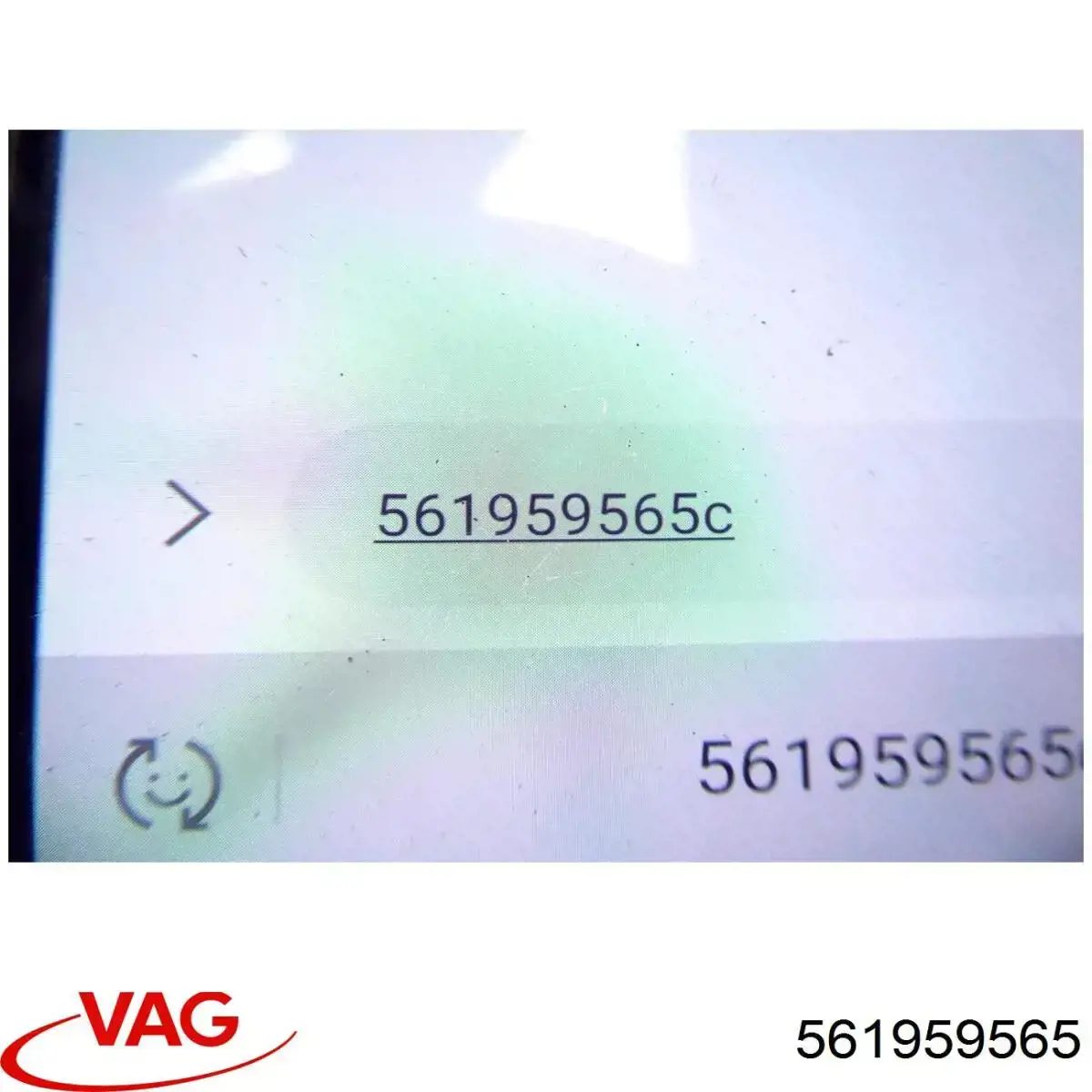  561959565 VAG