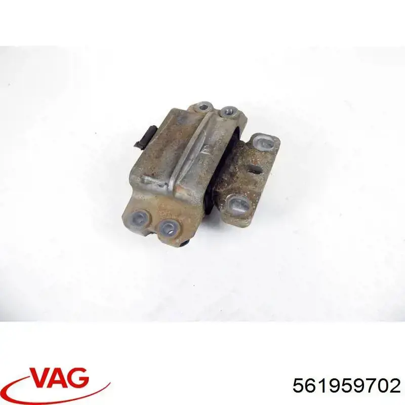  561959702 VAG