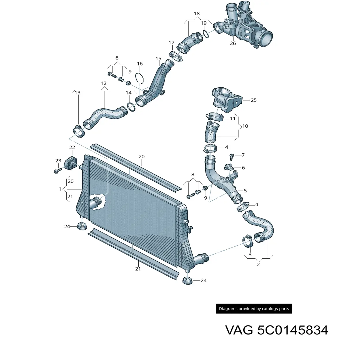 5C0145834 VAG Шланг/патрубок интеркуллера
