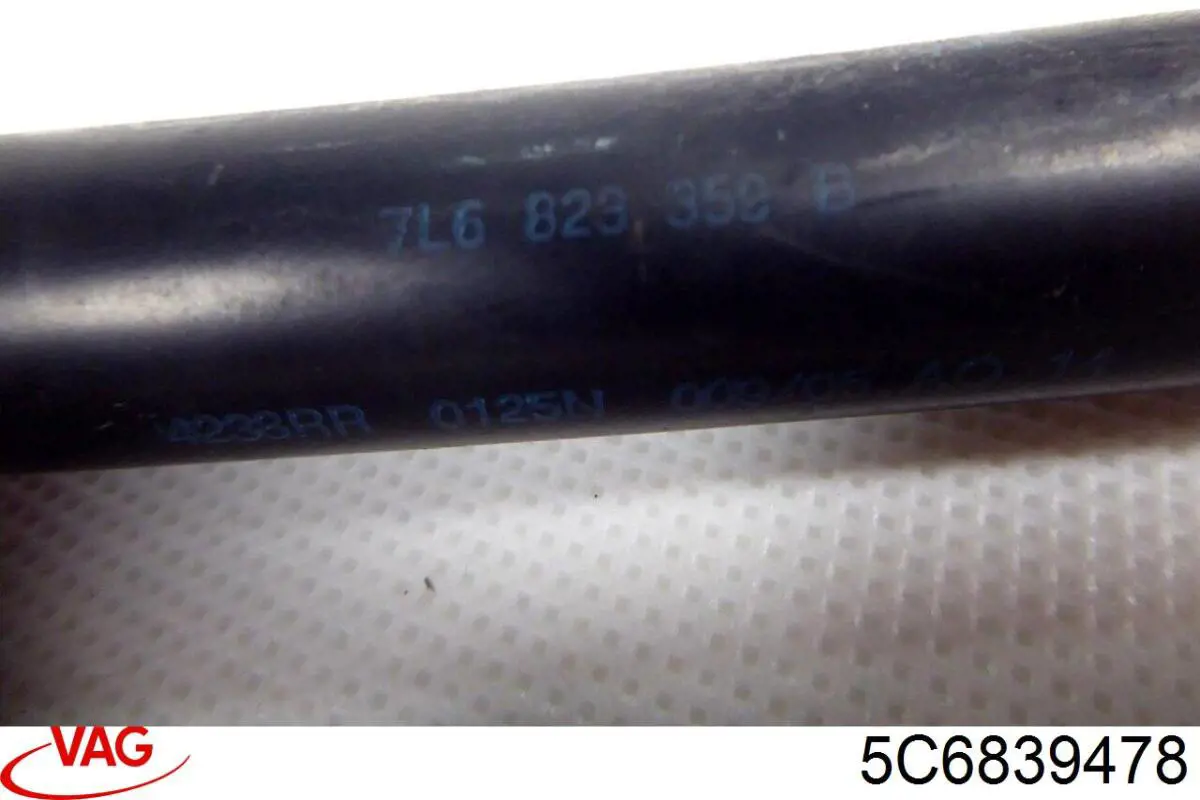 5C6839478 VAG 