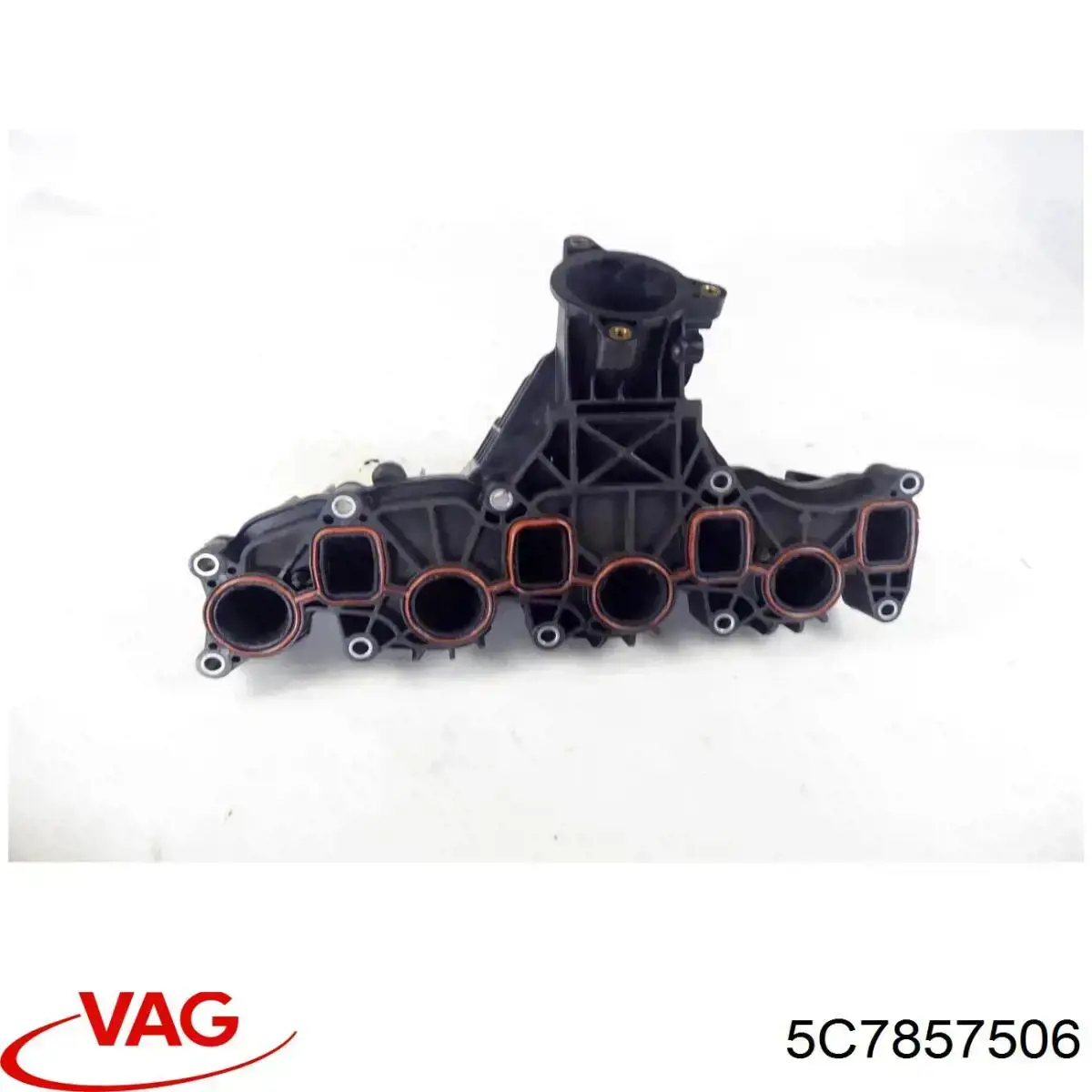  5C7857506 VAG