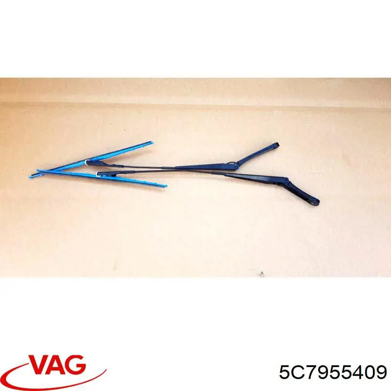 5C7955409 VAG 