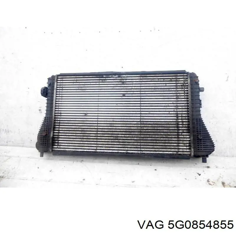 Бризковики задній, лівий 5G0854855 VAG